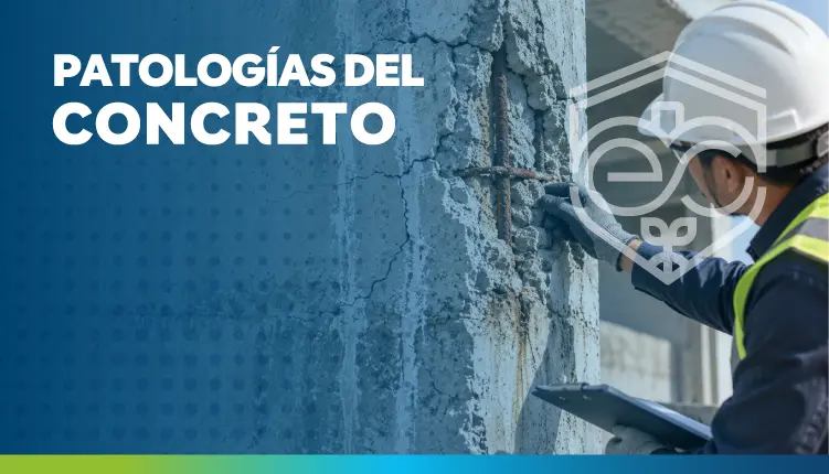 Módulo 6: Patologías del concreto